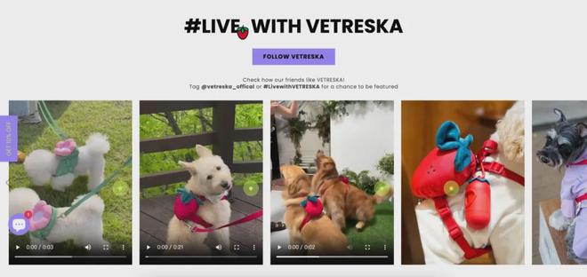 北美把160美元的猫爬架卖成了爆款AG真人国际厅你没听过的上海品牌在(图5) 北美把160美元的猫爬架卖成了爆款AG真人国际厅你没听过的上海品牌在(图5)