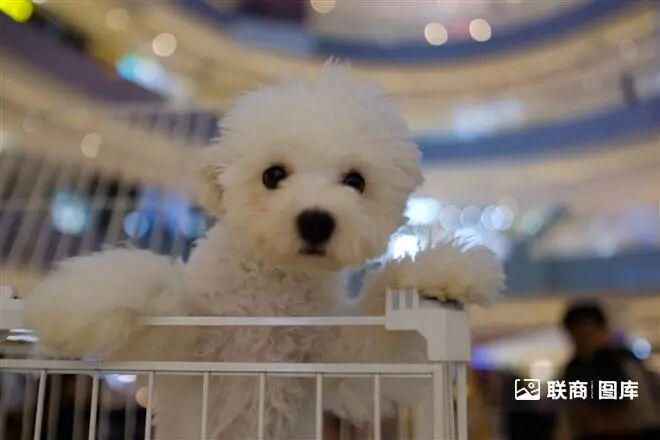 侯毅开的派特鲜生将全关AG真人中国盒马创始人(图10)