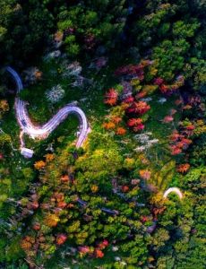 品闹市路口泄漏 消防队员及时抢险AG真人