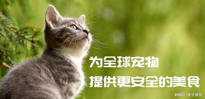 匠心品质引领宠物食品新风尚AG真人百家乐汉欧宠物：(图3)