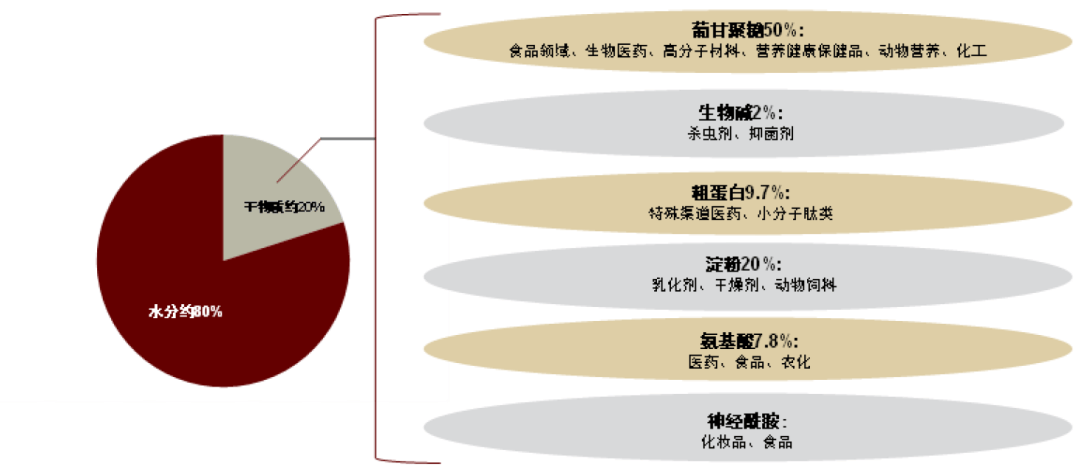 空间广阔兼具口感爽脆、低热量、健康特点AG真人澳门百家家乐中金公司：魔芋品类(图4)