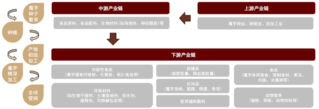 空间广阔兼具口感爽脆、低热量、健康特点AG真人澳门百家家乐中金公司：魔芋品类(图5)