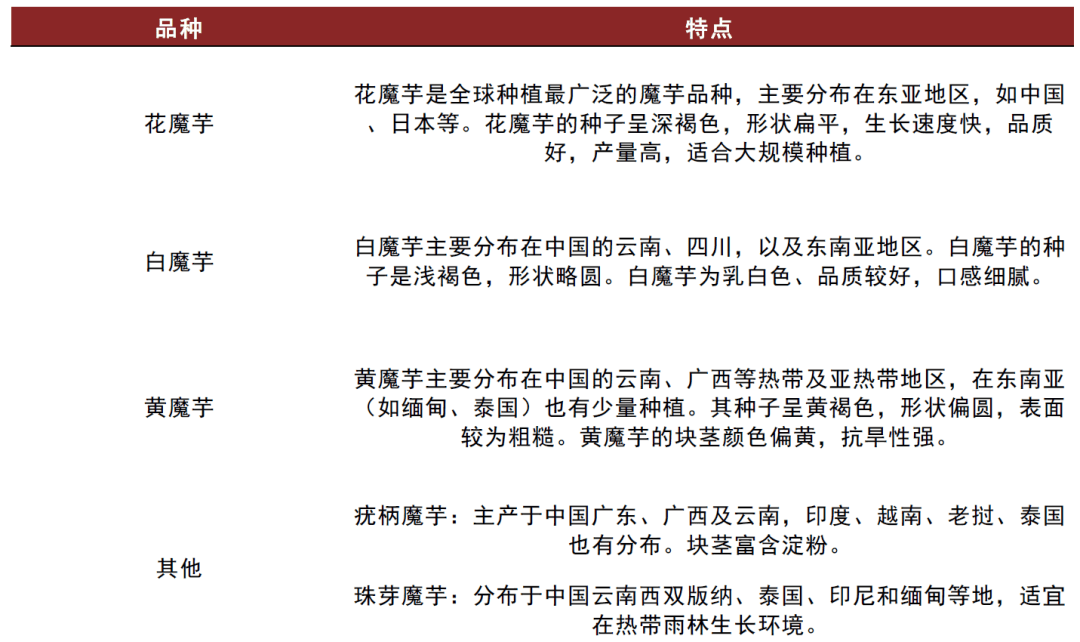 空间广阔兼具口感爽脆、低热量、健康特点AG真人澳门百家家乐中金公司：魔芋品类(图11)